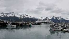 Seward| Seward Fishing | Seward, Alaska - An Informative Scenic Overview - https://reveldeck.com