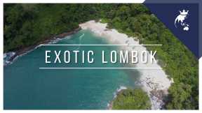 Lombok | Lombok Gili Islands | Discover the exotic Lombok Island known as The New Bali - https://reveldeck.com 