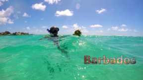 Bridgetown | Bridgetown Cruise Port | 7 Days In Barbados - https://reveldeck.com