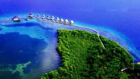 Bocas Del Toro | Bocas Del Toro Fishing | Top10 Hotels in Bocas Town, Isla Colon, Panama - https://reveldeck.com