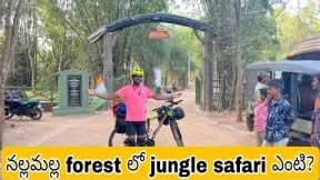 Jangal safari in AP nallamalla forest|telugu vlogs|#travel vlog