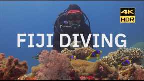 Scuba Diving in Fiji with Paradise Taveuni | Rainbow Reef in 4K HDR | May 2022