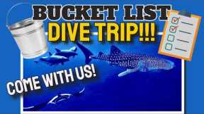 Our epic liveaboard scuba dive trip begins! (What’s on your bucket list?)