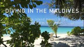 Maldives Scuba Diving - Angaga Island Resort & Spa #maldives #kygo #holiday #travel #vacation