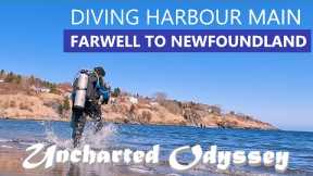 Scuba Diving Harbor Main (4K) | Travel Newfoundland, Canada