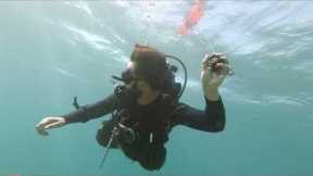Fun Scuba Diving Tour at Lauderdale by the Sea
