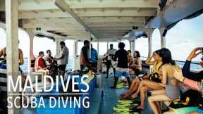 Scuba Diving in Maldives | Experience with Dive Club Maldives Hulhumale'