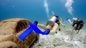 Scuba Diving Tour Cancun & PADI Courses in Cancun