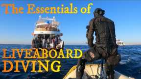 Liveaboard Diving - The Ultimate Guide - The Essentials