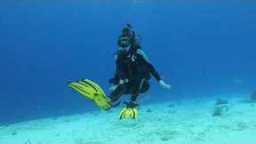 Scuba Diving Cozumel- 02.2023