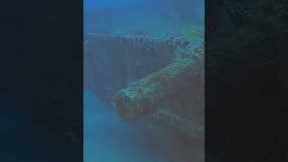 Short: Scuba Diving The British Virgin Islands, Wily T Wreck