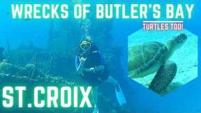 2023 TRAVEL / Diving St. Croix WRECKS with TURTLES & MORE! #scubadiving #scuba