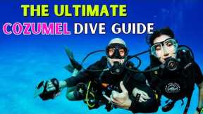 Where to Scuba Dive in Cozumel (ULTIMATE DIVE GUIDE)
