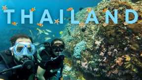 Thailand | Episode 3 | Phuket to Phi Phi | Scuba Diving | Cruise Ride | November 2022 | Phuket