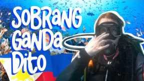 INCREDIBLE Scuba Diving in the Philippines for the FIRST time