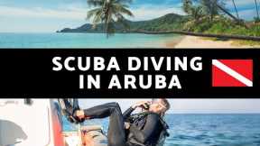 Scuba Diving in Aruba - The Top Ten Dive Spots