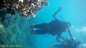 Scuba Diving in Andaman | Best Experience in Andaman | Travel to Andaman | watch till End