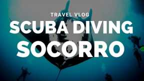 Scuba Diving The Socorro Islands via Liveaboard - Mexico Travel Vlog