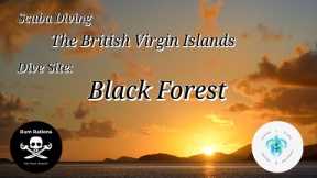 Scuba Diving The British Virgin Islands, Black Forest