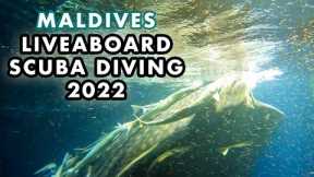 An Adventure Trip in Maldives. Liveaboard Scuba Diving 2022