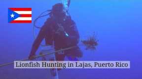 Scuba Diving and Lionfish Hunting in Lajas, Puerto Rico | Travel Puerto Rico