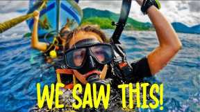 SCUBA DIVING in KOH TAO - I can’t believe we swam with this!