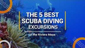 THE 5 BEST SCUBA DIVING EXCURSIONS IN THE RIVIERA MAYA