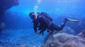 Recreational Scuba Diving 🤿 Espiritu de Buceo Tenerife