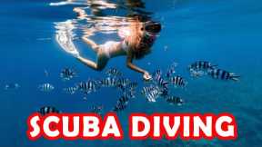 10 best places for scuba diving | Tour Guide 2023
