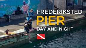 Scuba Diving St. Croix's Most Diverse Site! (Frederiksted Pier Underwater Family Travel Vlog)