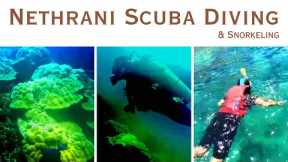 Nethrani Island Scuba Diving || Snorkeling || Best in Karnataka || Murdeshwara|| All Details