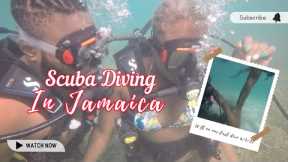 Scuba Diving for Beginners | Scuba Diving Training, Lessons, & Skills in Jamaica