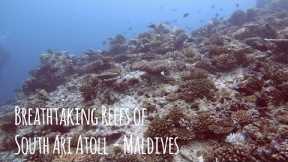 Scuba Diving the PRETTIEST Coral Reefs in South Ari Atoll 😍 Maldives Aggressor Liveaboard - 4K
