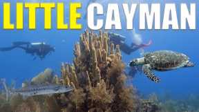 Scuba Diving The MIXING BOWL In Little Cayman