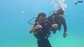 EXPERIENCE UNDERWATER RING EXCHANGE WITH BEST SCUBA DIVING MOMENTS ON TURTLE BEACH @ HAVELOCK ISLAND