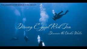 SCUBA Diving Egypt Red Sea: Explore Uncharted Waters
