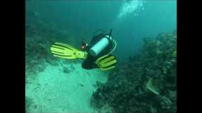 Scuba Diving in Batangas Philippines 2023 Anilao Mabini #travel #travelvlog #diving #scubadiving