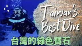 The Gem of Taiwan: Green Island 💚 [Best Scuba Diving Experience in Taiwan]