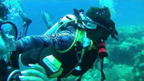 Scuba Havelock /scuba diving #travel #travelvlog #ytsearch