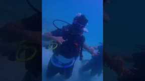 Scuba diving in Dubai very cheap rate