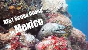 Scuba Diving Travel Vlog | Puerto Vallarta, Mexico 2022