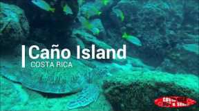 Isla del Caño - Scuba Diving Tour
