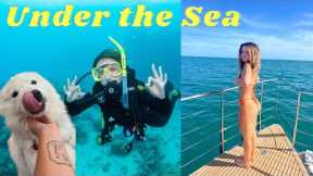 Australia Travel Vlog Part 8 | Cairns | Scuba-Diving, The Great Barrier Reef, Cape Tribulation