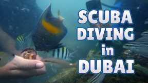 Scuba Diving in Dubai - Bermuda Diving Center