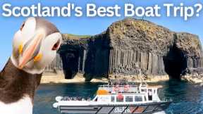 Puffins Don't Get Closer Than This! A Remarkable Boat Trip to The Scottish Isles (Staffa and Lunga)
