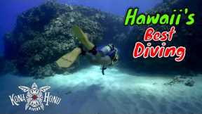 Best Scuba Diving in Hawaii with Kona Honu Divers