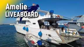 How and WHY to Dive the Red Sea | Egypt SCUBA Diving | Amelie Liveaboard