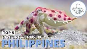 Scuba Diving Philippines - The Top 5 Dive Sites in the Country