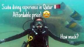 Scuba diving experience in Qatar | sealine | 2023 | explore | scuba diving