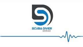 Competitive Freediver Bit by Shark & New Diver Locator App #scuba #podcast